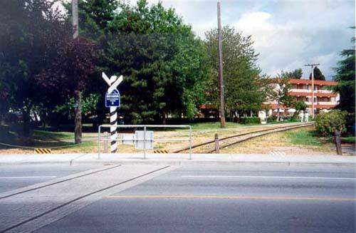View of the CPR Power Poles and Railway Tracks from the south, Richmond, BC, 2001; Denise Cook Design 2004
