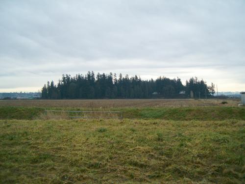 Exterior view of Mound Farm, 2004; City of Surrey, 2004