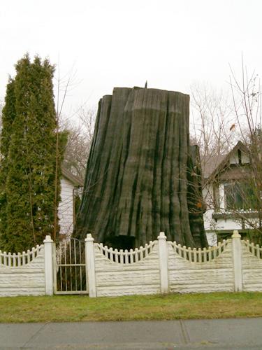 Exterior view of Cedar Stump from Queen Mary Boulevard, 2004; Donald Luxton and Associated, 2004