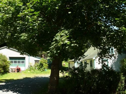 View of Thimble Cottage and its tractor garage, nestled amongst a large area of green space and mature trees. Photo taken August 7, 2007.; Deborah O'Rielly/ HFNL 2007