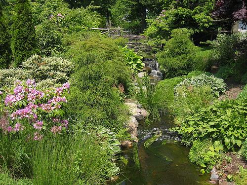 General view of Halifax Public Gardens, showing the wide variety of species planting including domestic, exotic, semi-tropical, flowering, and variegated foliage, set against well-groomed lawns, 2010.; Halifax Public Gardens, Justin Paulson, 2010.