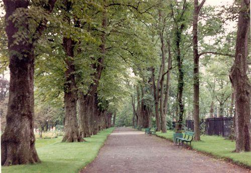 Treed Path, Public Gardens, Halifax, 2004.; HRM Planning and Develoment Services, Heritage Property Program, 2004.
