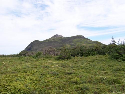 Landward side of Cape Chapeau Rouge, looking south.  Image taken during ascent to the pinnacle of the Cape, August 13, 2005.; Deborah O'Rielly/ HFNL 2007