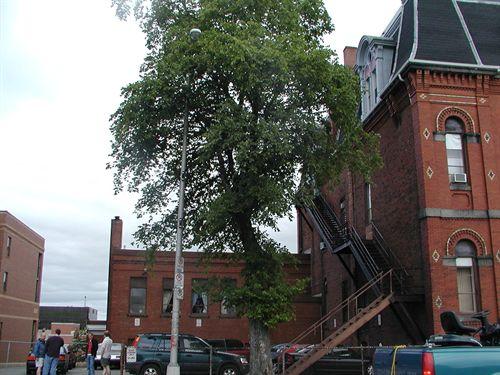 Side elevation from Brunswick Street, Halifax Academy, Halifax, Nova Scotia, 2005.; HRM Planning and Development Services, Heritage Property Program, 2005.