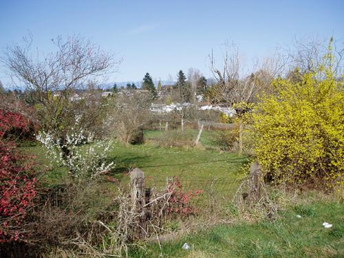 Five Acre Farm; City of Nanaimo, Christine Meutzner, 2005