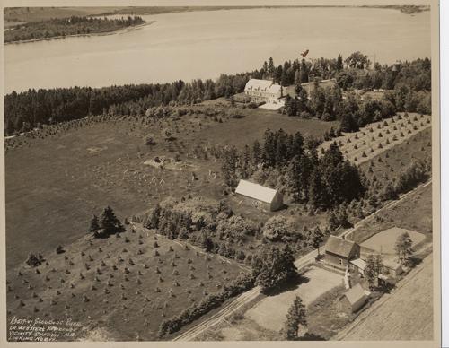 Webster House - View of the area; private collection