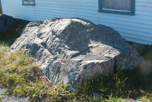 Photo of Devil's Rock, Renews, Southern Shore, NL, taken summer of 2004.; HFNL/Dale Jarvis 2005
