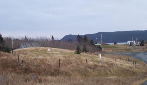 View of the Old Cemetery overlooking Renews Harbour, NL; HFNL/Andrea O'Brien 2005