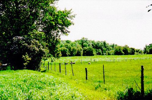 General view of the Bois-de-la-Roche agricultural park in the Senneville Historic District National Historic Site of Canada, 2001.; Agence Parcs Canada / Parks Canada Agency, M. Pelletier, 2001.