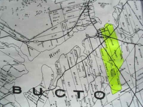 Grant map showing the properties that belonged to John Jardine which formed "The Yard".; Village of Rexton