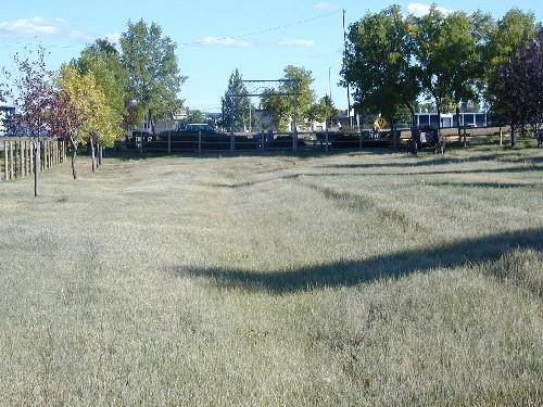 Close-up view of the wheel ruts, 2004.; Dan Knutson, 2004.