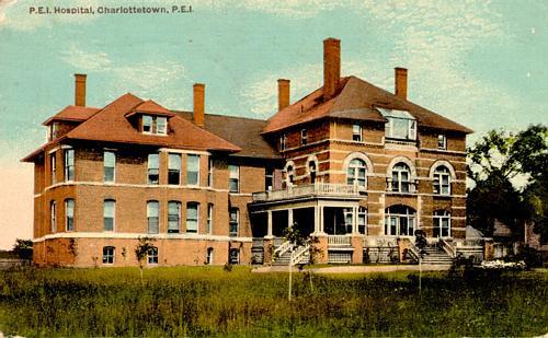 Postcard showing newly planted trees in the foreground; Doug Murray, Postal Historian