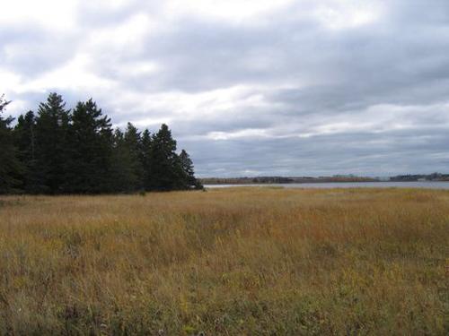 Image of Daly Point taken from the "Salt Marsh trail" that runs along the Bathurst Basin. It is home to the Maritime Ringlet Butterfly.; City of Bathurst