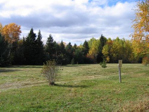 A picture of the Daly Point Nature Reserve taken from "The Field Trail" that runs through old fields that were farmed more than 300 years.; City of Bathurst