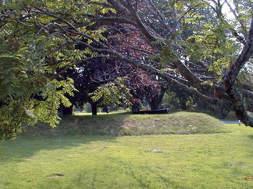 Fort Tipperary - cannon and grounds; PNB 2004