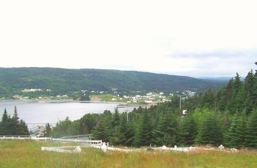 View looking west from Immaculate Conception Cemetery, Cape Broyle, NL, showing Fairy Pond in the background. Photo taken July 2006.; HFNL/Andrea O'Brien 2006