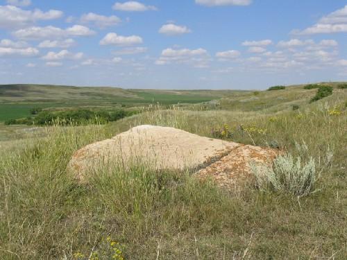Petroglyphs are incised on the boulder's flat surface, 2004.; Government of Saskatchewan, Marvin Thomas, 2004.