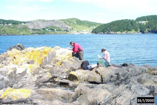 Archaeologists conducting a survey of the shoreline at Blacksmith, Fermeuse, NL. ; Peter Pope 2000/ HFNL 2006