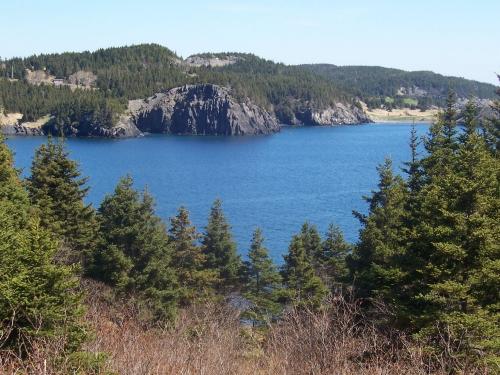 View looking north from Blacksmith across Fermeuse Harbour, NL. Photo taken May 2006. ; HFNL/Andrea O'Brien 2006