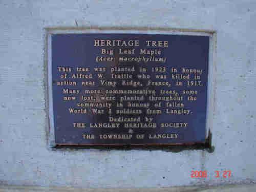 Trattle Memorial Maple Tree marker; Township of Langley, 2006