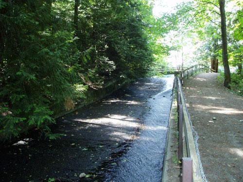 View of the Harewood Colliery Dam; City of Nanaimo, Chistine Meutzner, 2006
