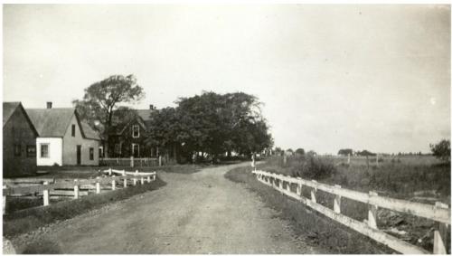 Showing current house amid trees - first two houses on left no longer exist; Jean Profitt Collection, n.d.