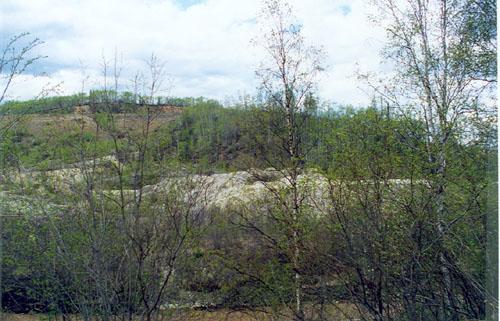 General view of a part of the Discovery Claim (Claim 37903) National Historic Site of Canada, showing former mining activity, 1998.; Agence Parcs Canada/Parks Canada Agency, John Gould, 1998.