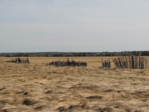 LeBlanc Marsh - view of the marsh and the breakwaters; City of Dieppe