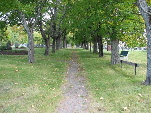 Saint-Anselme Cemetery - maple-lined lane; City of Dieppe