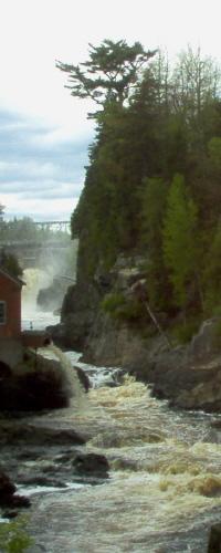 The Old Pine Tree is apparent in the upper portion of this photograph; Norma Stewart