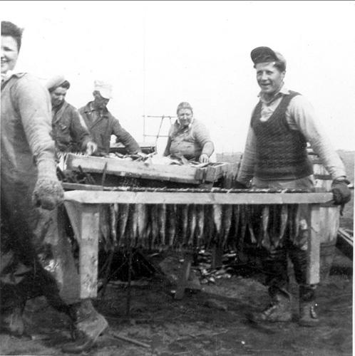 This image represents a good example of the types of tasks that would have taken place in smokehouses during this period. These stringers are from the Patrick Cormier Smokehouse, located about a mile from that of Willie Niles, (1944-1945).; Bertha Cormier