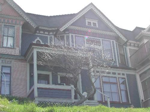 This photograph shows the complete façade of the building and its quaint setting upon a terrace overlooking Saint John Harbour, 2005; City of Saint John