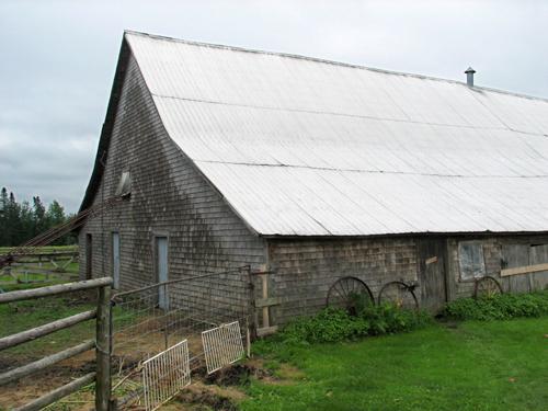 View of north side of barn at 456 Sunset Drive; Restigouche Regional Museum, Dalhousie