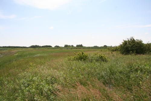 Contextual view of the St. Ambroise Dakota Entrenchment, St. Ambroise area, 2005, with the taller grass line marking the location of the entrenchment.; Historic Resources Branch, Manitoba Culture, Heritage, Tourism and Sport, 2005