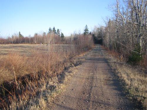 Today, the New Brunswick Trail is located where Saint-Antoine's first institutions once stood; Daniel Léger