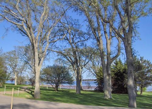 Showing mature trees with Hillsborough River in the distance; City of Charlottetown, Natalie Munn, 2007