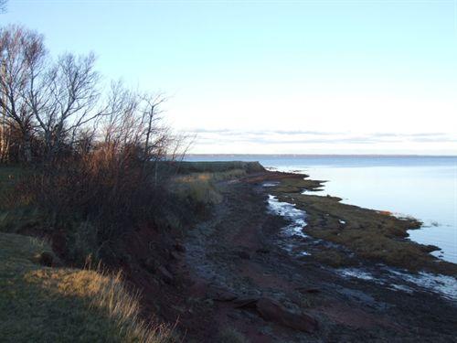 Shoreline, Tidnish Dock Provincial Park, Tidnish, Nova Scotia, 2006.
; Heritage Division, NS Dept. of Tourism, Culture and Heritage, 2006.