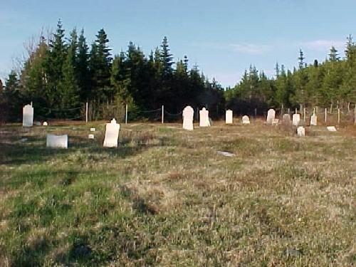 Photo view of the Old Church of England Cemetery, Leading Tickles, 2007; Town of Leading Tickles, 2007