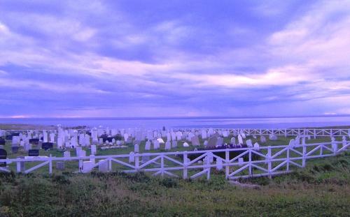 View looking northwest of the Old Anglican Cemetery, Anchor Point, NL. Photo taken Angust 2007.; Town of Anchor Point 2007