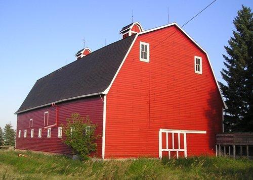 Button Barn, 2007.; Clint Robertson, 2007.