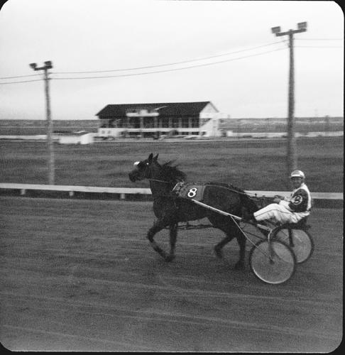 Brunswick Downs - Philias Belliveau with his horse Amazing Grace, 1980; City of Dieppe