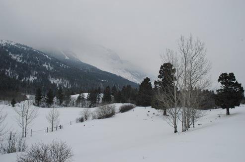 Old Hillcrest Cemetery (2007); Alberta Tourism, Parks, Recreation and Culture, Historic Resources Management Branch