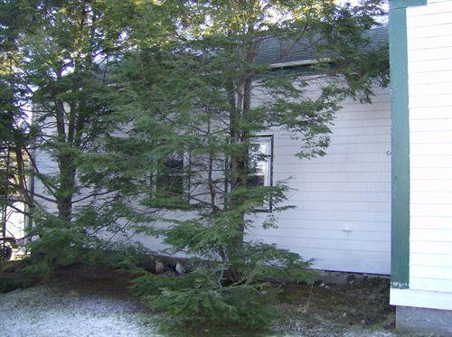 View of rear ell (blocked by trees) Everett Smith House, Barrington Passage, NS, 2007.; Department of Tourism, Heritage and Culture, Province of Nova Scotia 2007