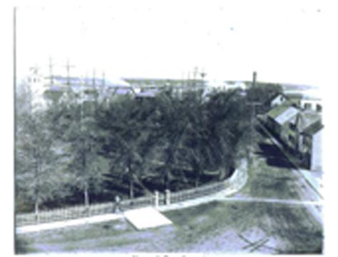 Town Square in the former town of Newcastle, looking south to harbour, circa 1900.; Provincial Archives of New Brunswick P6-227