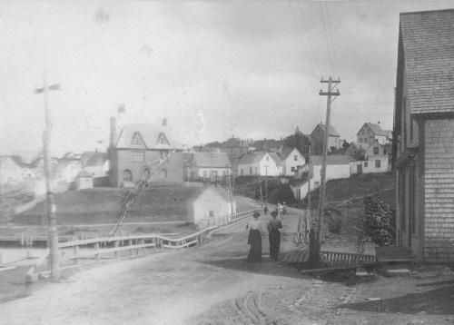 View from the north shows house in distance on hill; Garden of the Gulf Museum Collection