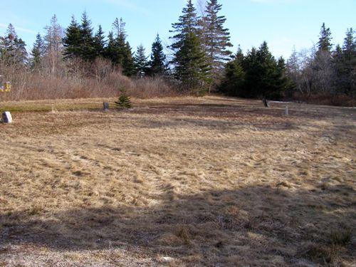 The African Bethel Cemetery, Greenville, Yarmouth, NS, 2008. Many markers have been destroyed or lost.; Heritage Division, NS Dept. of Tourism, Culture and Heritage, 2008