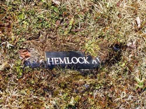 Hemlock Avenue marker in the Tusket Lakes Cemetery, Gavelton, Yarmouth County, NS, 2008.; Heritage Division, NS Dept. of Tourism, Culture and Heritage, 2008