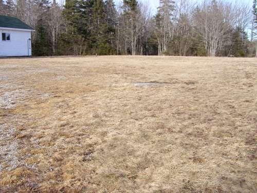 Section of the Greenville Church Cemetery on the east side of the Greenville Church, Greenville, Yarmouth County, NS, 2008.; Heritage Division, NS Dept. of Tourism,Culture and Heritage, 2008
