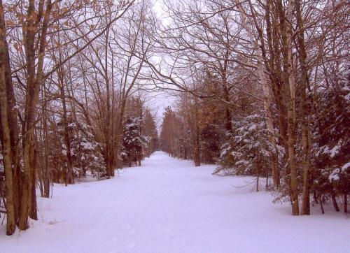 Showing lane in winter; Alberton Historical Preservation Foundation, 2007